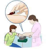 肝機能 血液検査